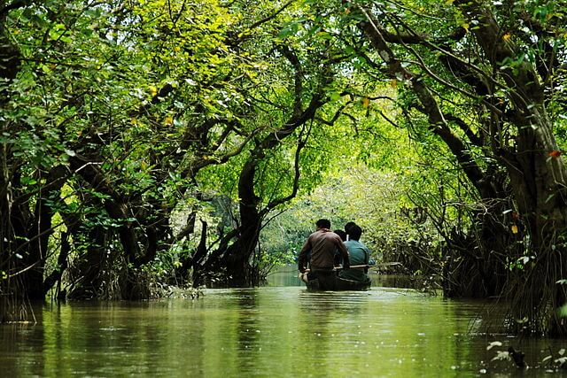 রাতালগুল সোয়াম্প ফরেস্ট | Ratargul Swamp Forest