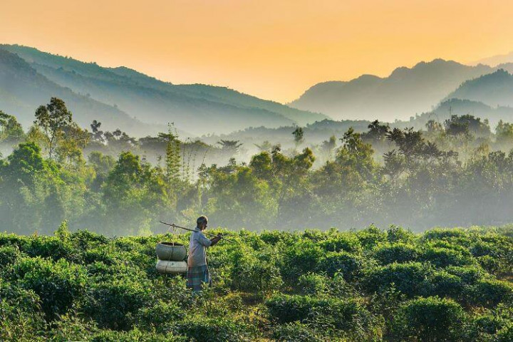 Sylhet (Premium Package)